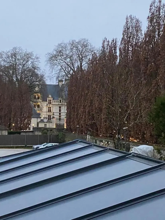 Afficher la photo 8 — Recent T2 aux portes du Chateau d'Azay le Rideau
