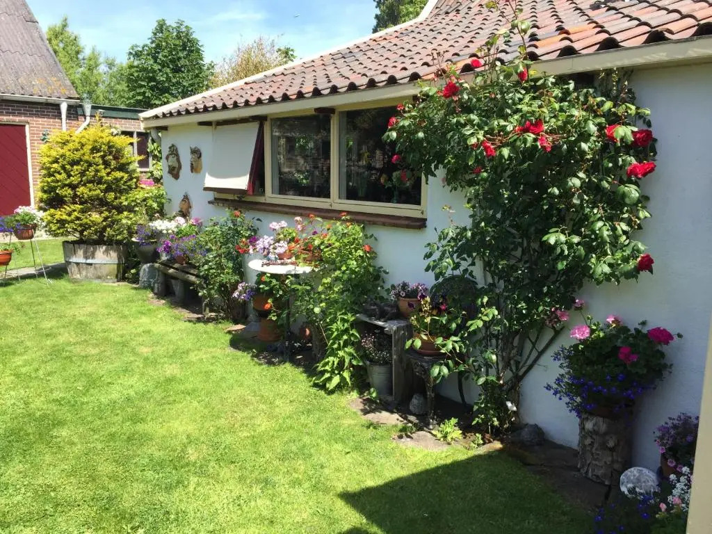 aan de schulpvaart - фото 2