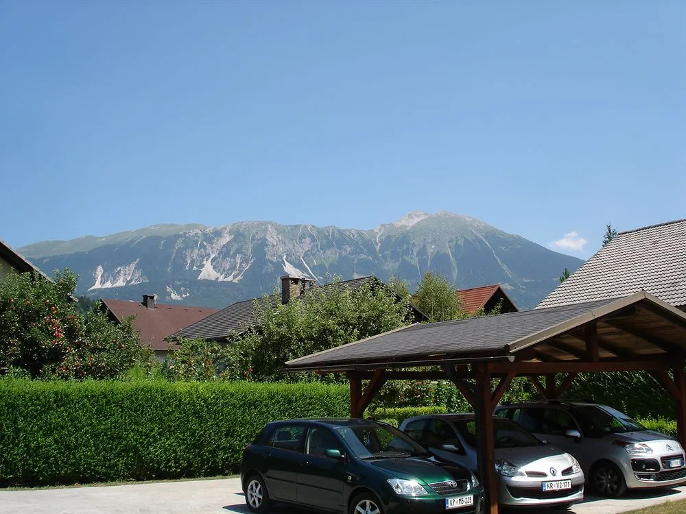 Apartmaji Vidic- Guest House