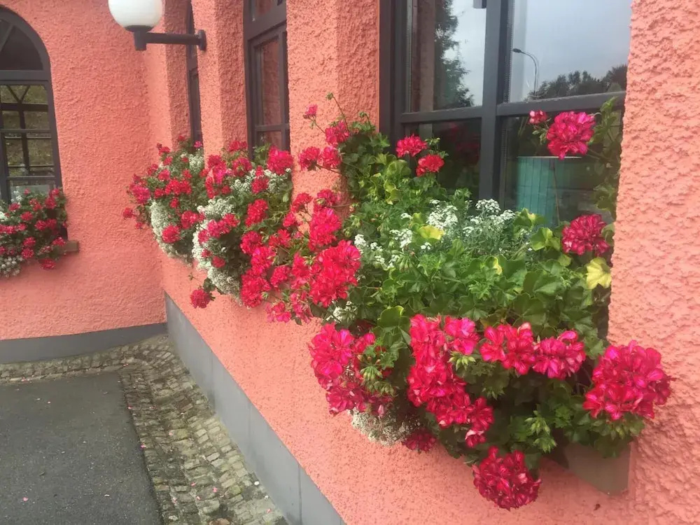 Landhotel am Wenzelbach - Général