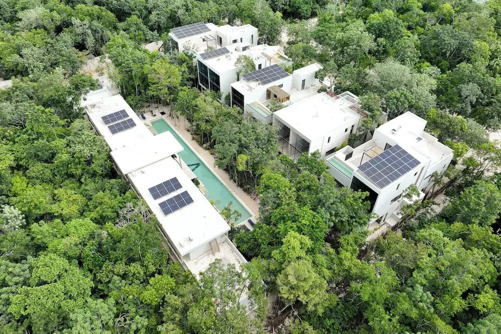 BT Homes - Wellness Jungle