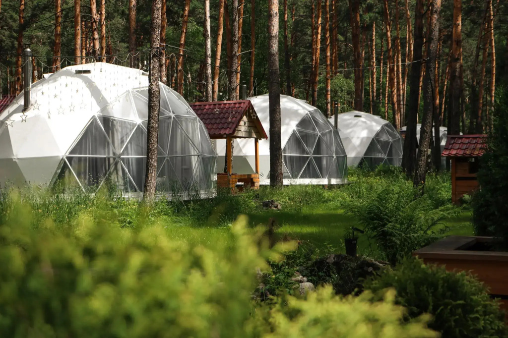 Роял Форест - фото 2