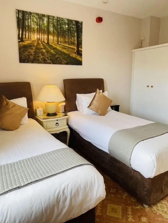 Deluxe Double room with mountain view (twin beds)