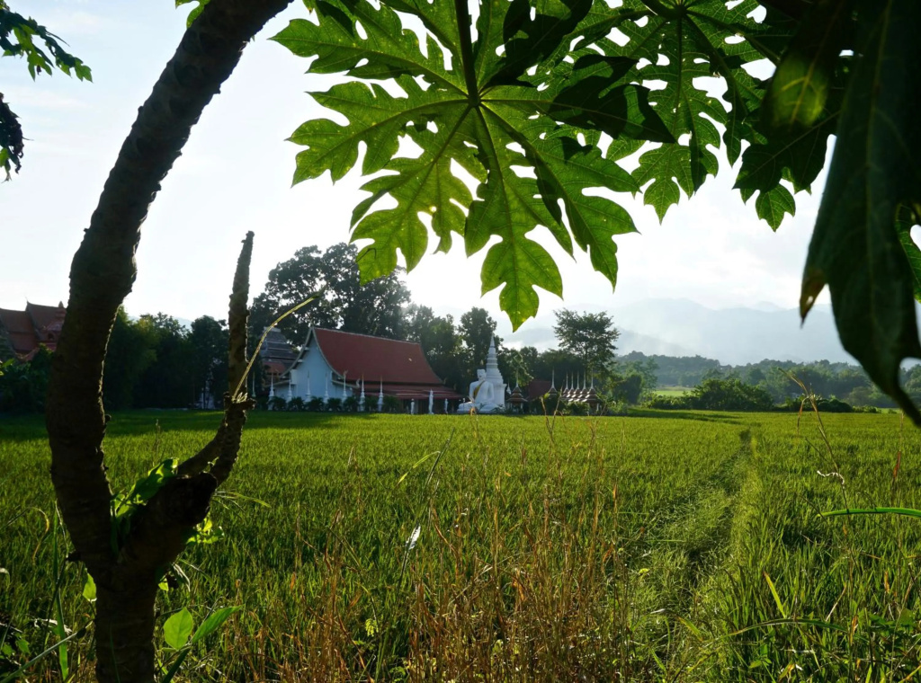 Blue Sky Pai Resort