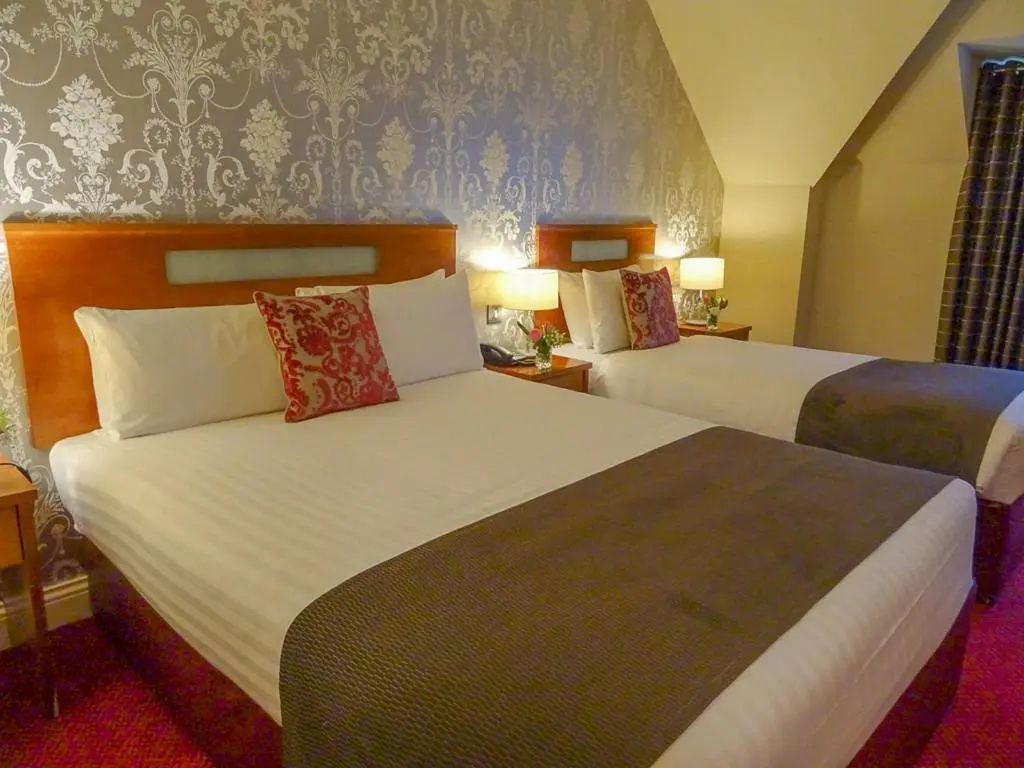 Raheen Woods Hotel - Chambres