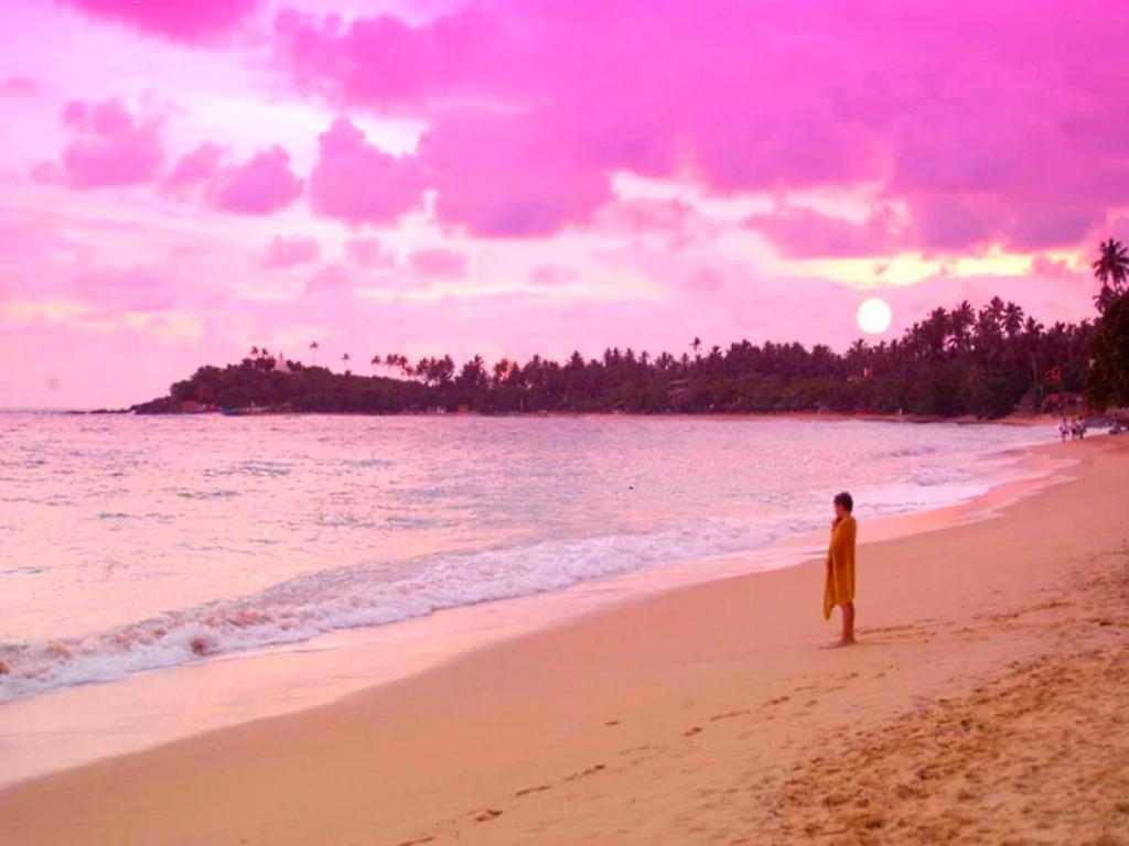 The Fort Printers - фото 14