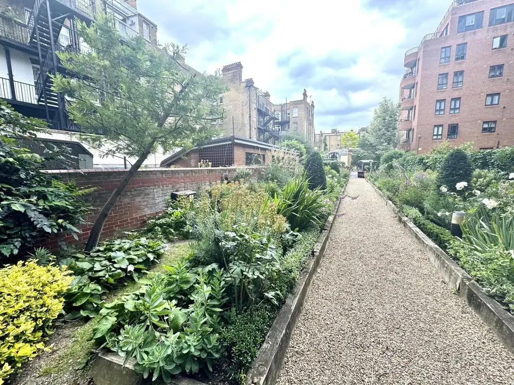 Cityscape Haven in Central London