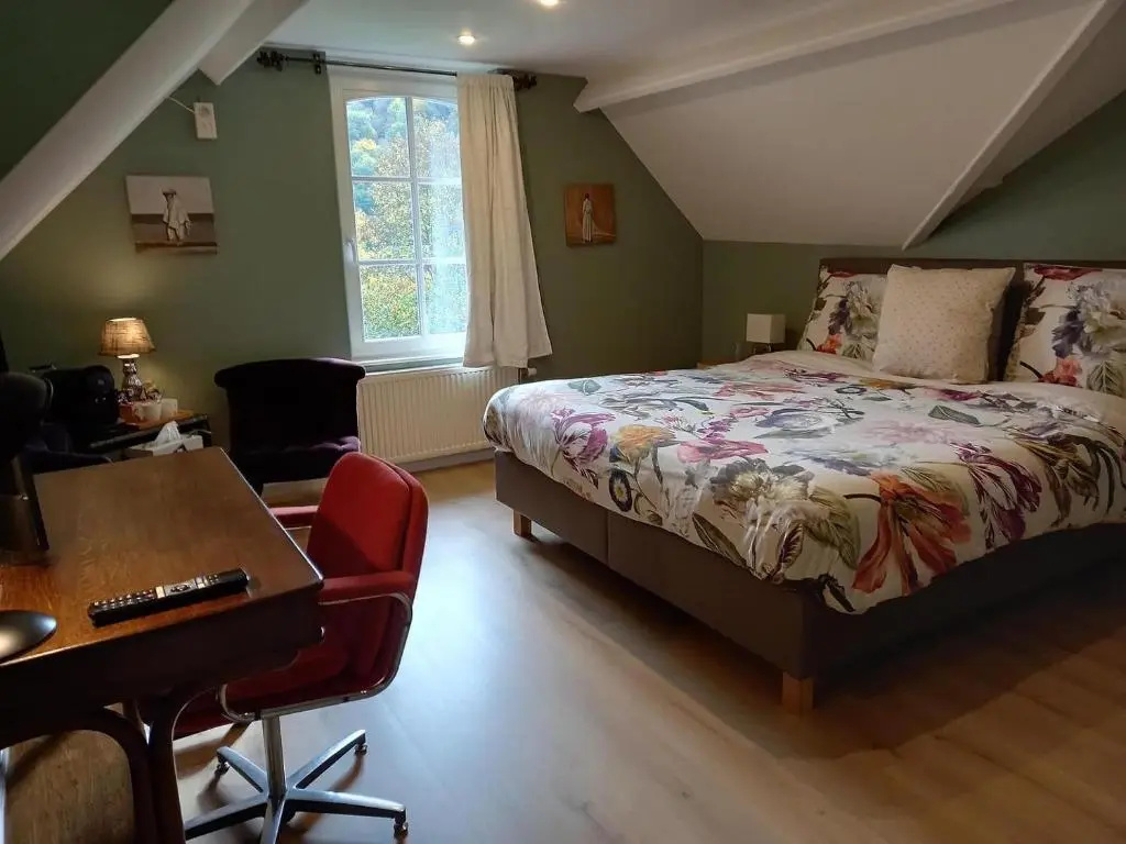 Standard Double room with garden view (full double bed)