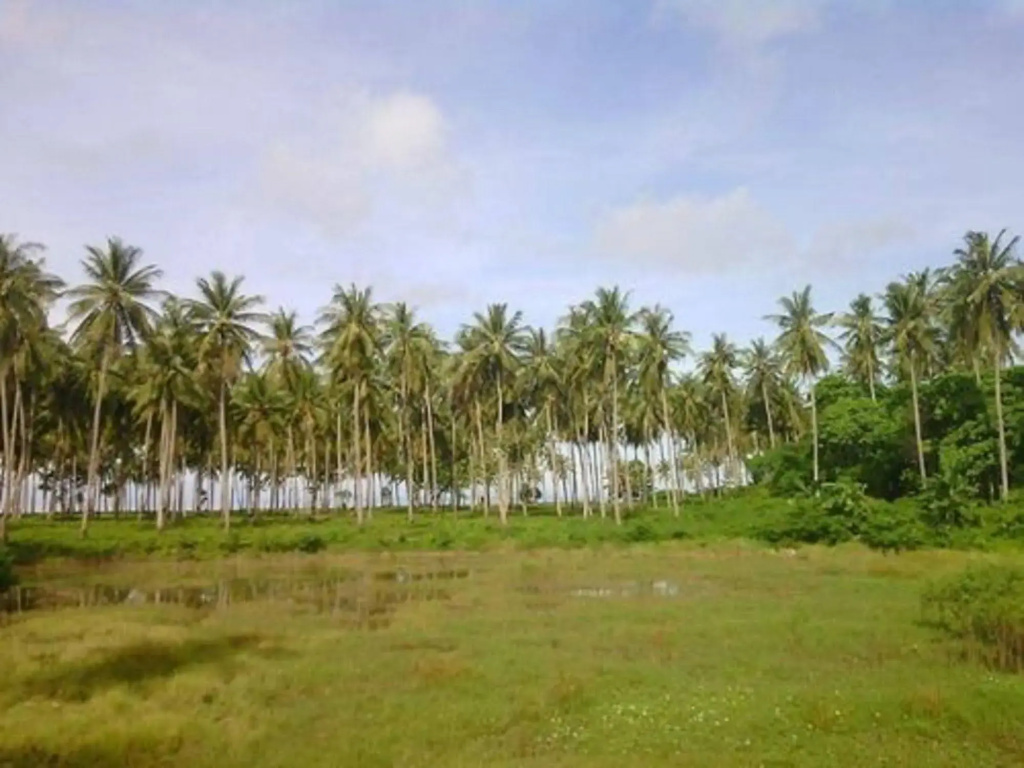 Sunanta Bungalow - Général