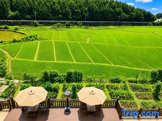 Moonhill Yao | 180° Sea of Clouds · Vista Mist Luxury Forest Inn (Yaoli Ancient Town Scenic Area)