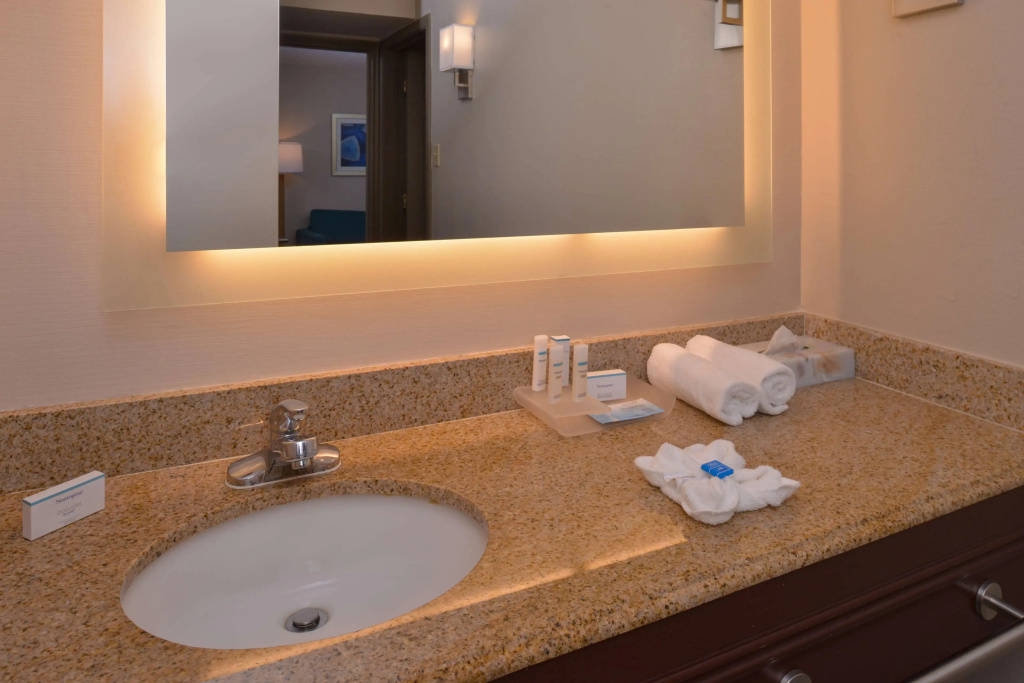 Homewood Suites by Hilton Dallas-Lewisville - Général