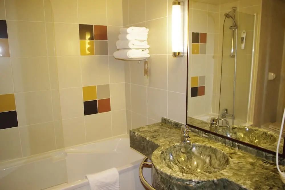 Hotel Mercure Saint-Etienne Parc de l Europe - Général