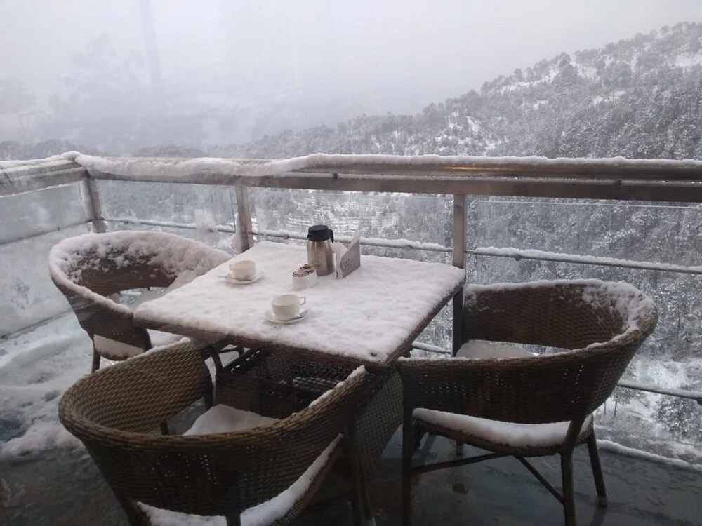 Balcony & Terrace