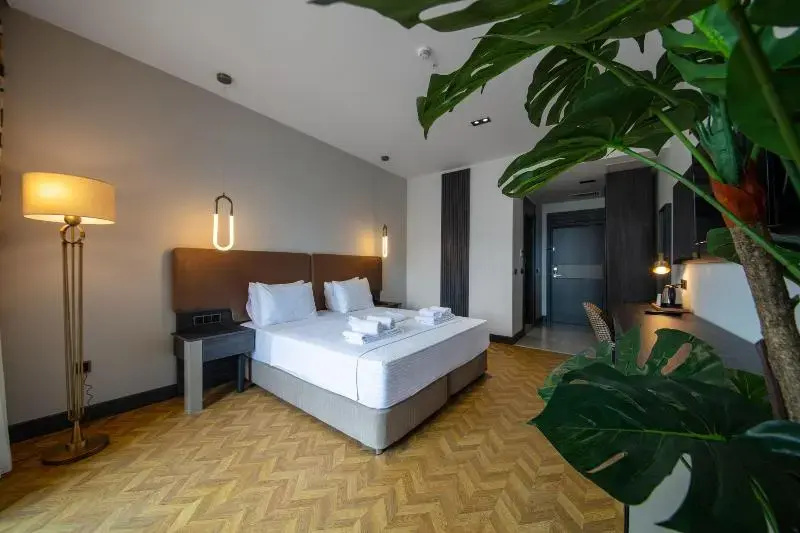 Classic room