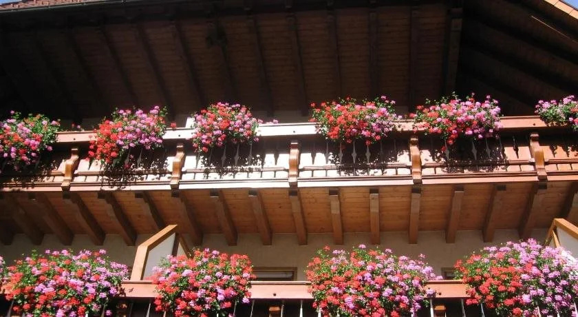 Gasthaus Zum Hirschen - Général