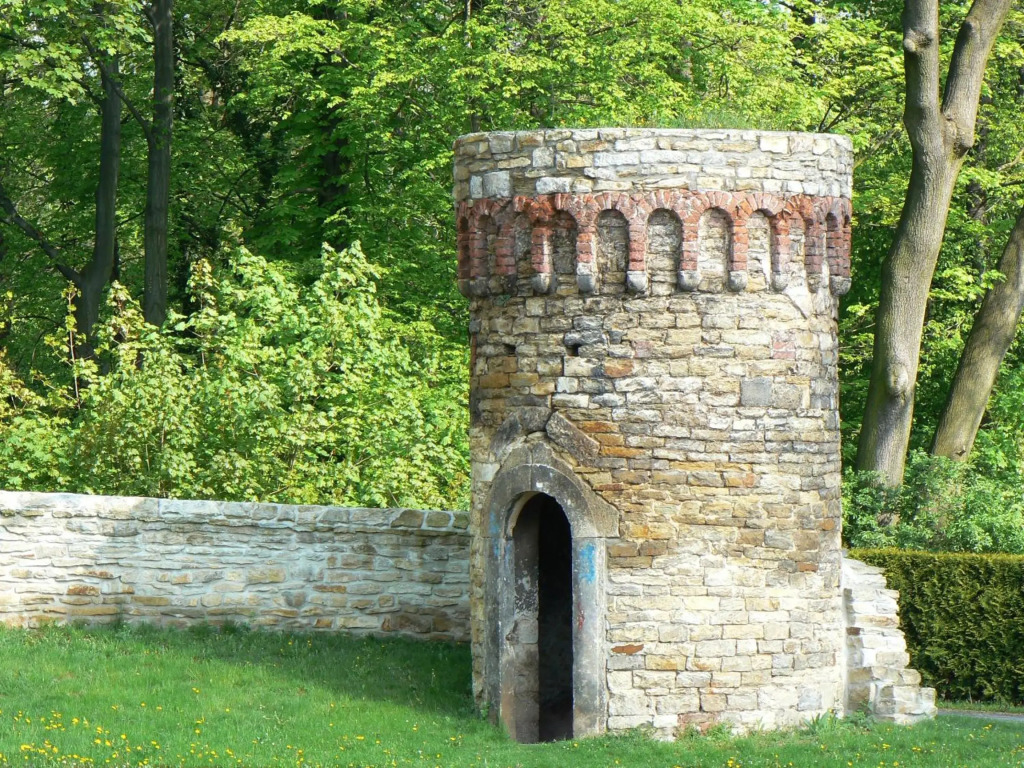 Image 30