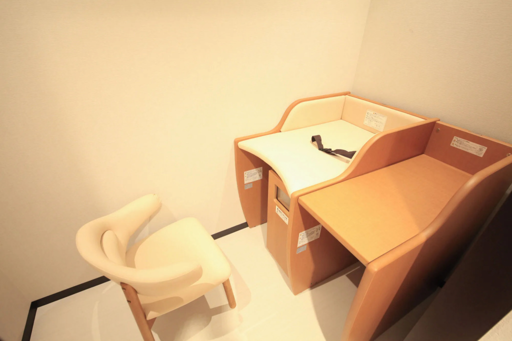 Richmond Hotel Tokyo Suidobashi - Général