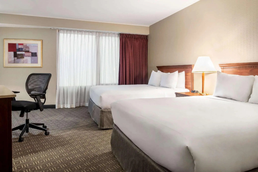 Wyndham Springfield City Centre - Chambres