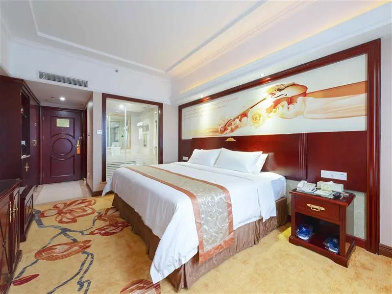 Vienna Hotel Heyuan Hongxing Road Branch - Chambres