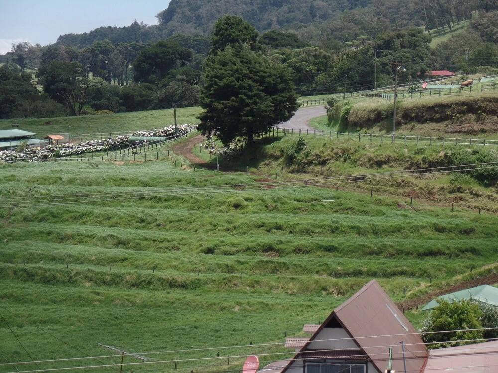 Hotel La Paz - фото 11