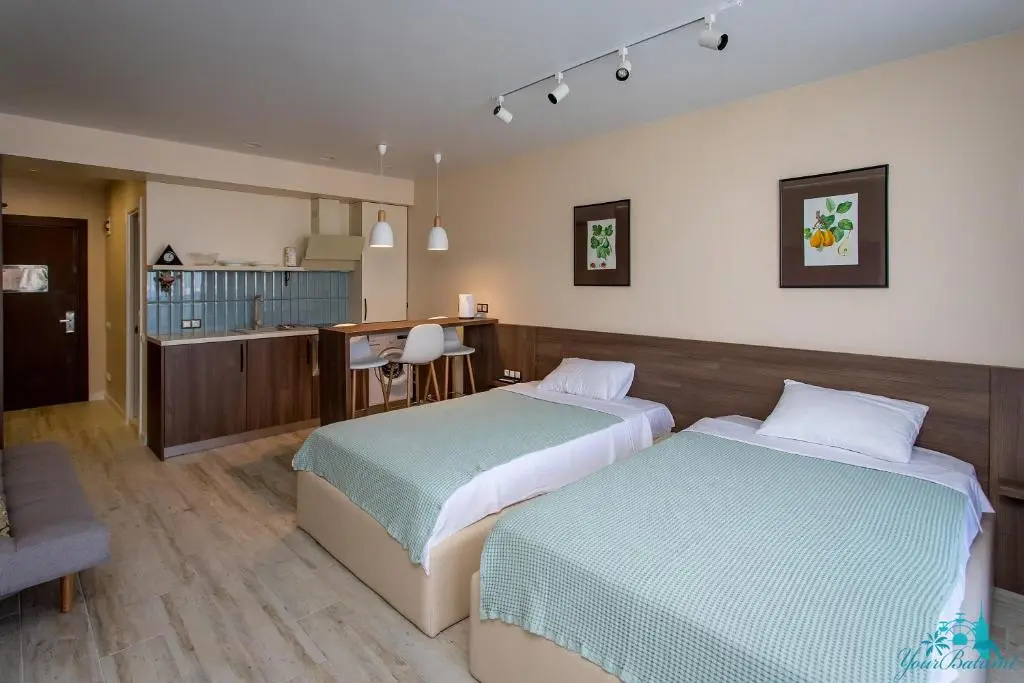 Standard Double room with city view (twin beds)