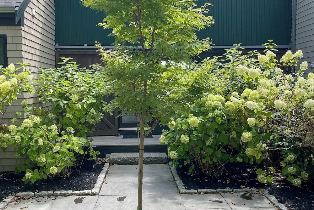 1 Mi to Ferry & Beach: Waterfront Hyannis Home! — фото 6