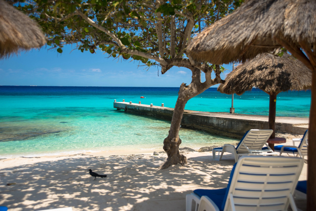 Beach & Waterfront