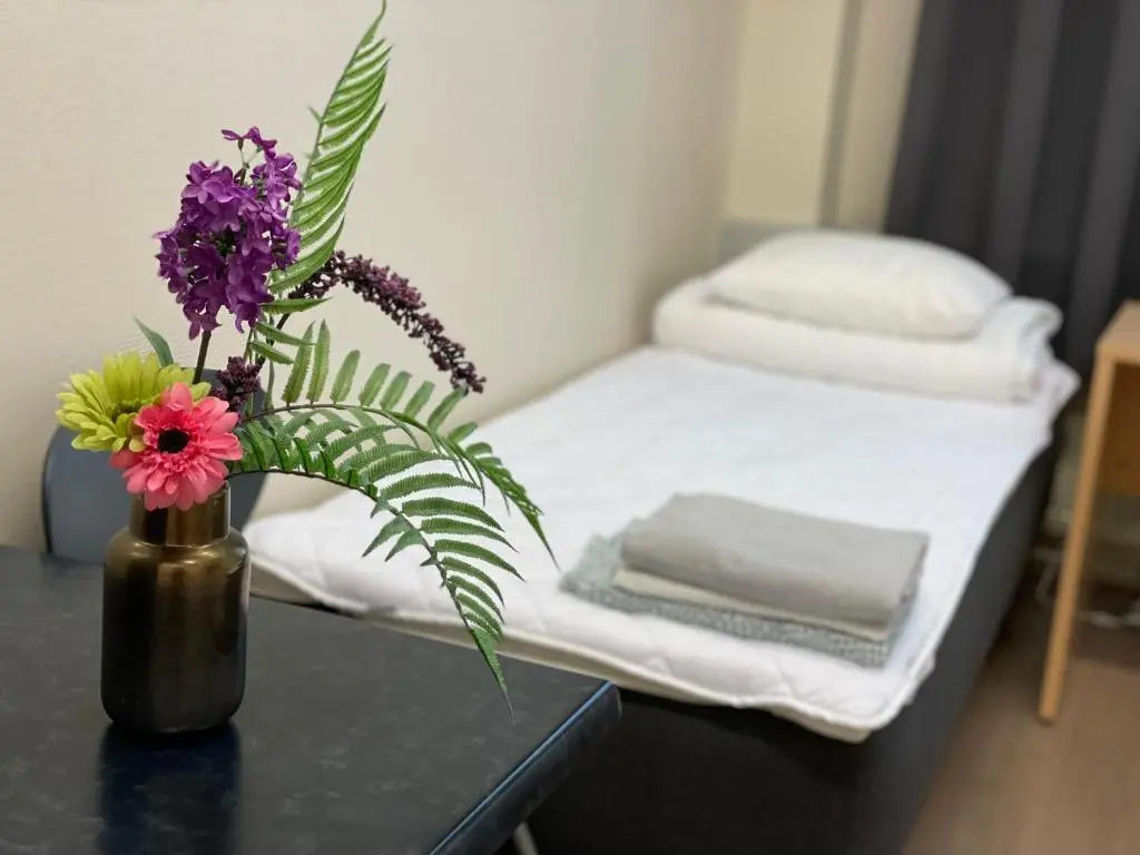 Standard Double room (twin beds)