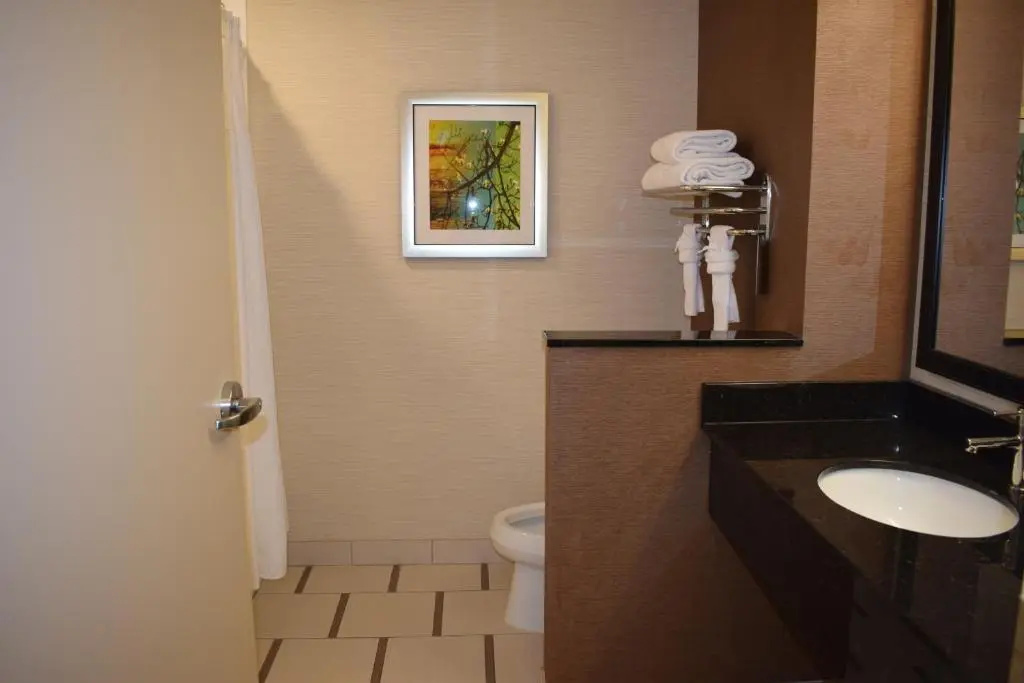Fairfield Inn & Suites by Marriott Austin San Marcos - Chambres