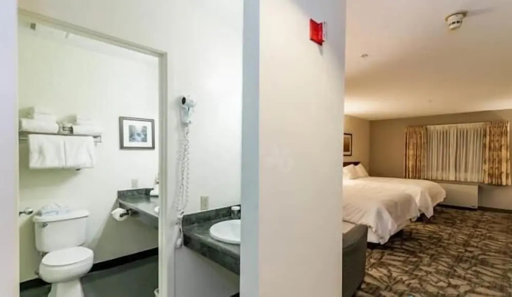 Hotel photo 11