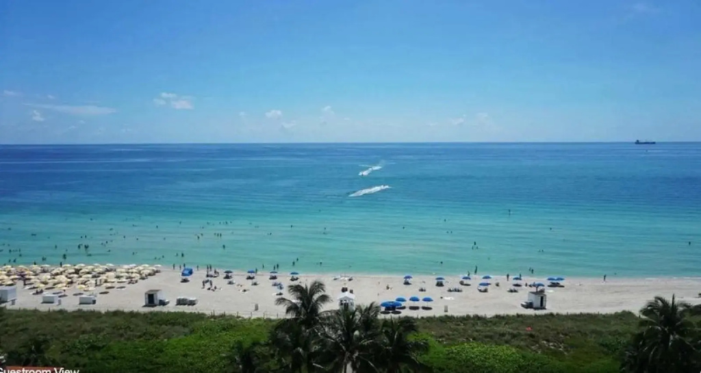 Miami Beach Resort - Général