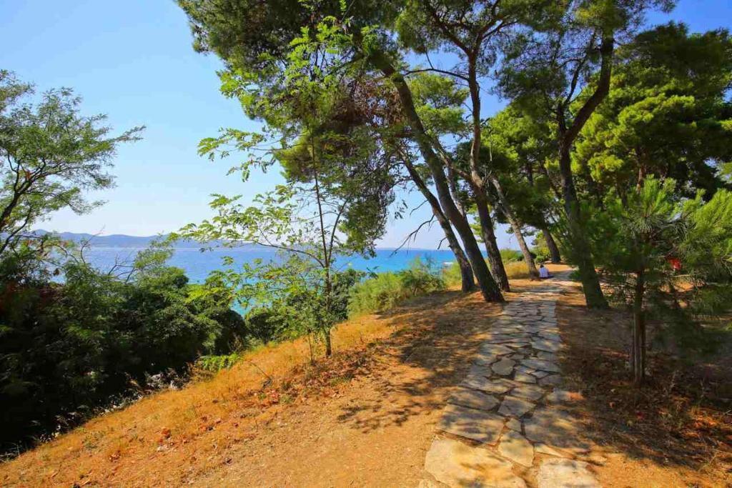 Апартаменты с 2 комнатами в Lavender Suite Zadar