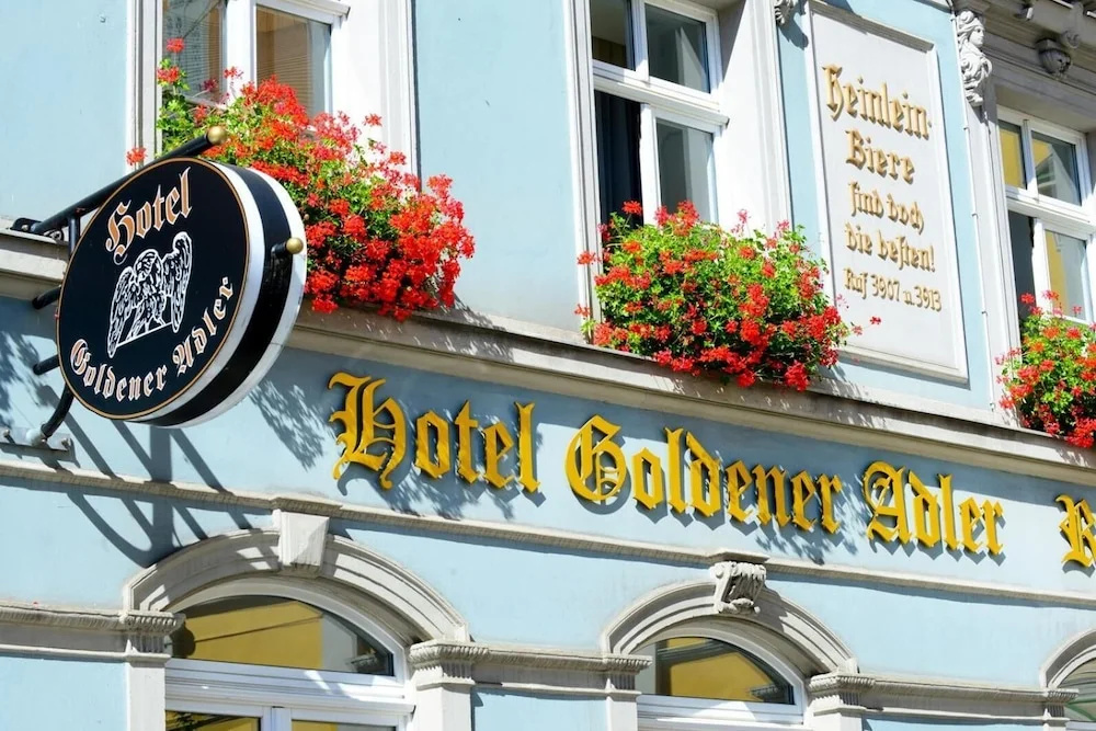 Goldener Adler