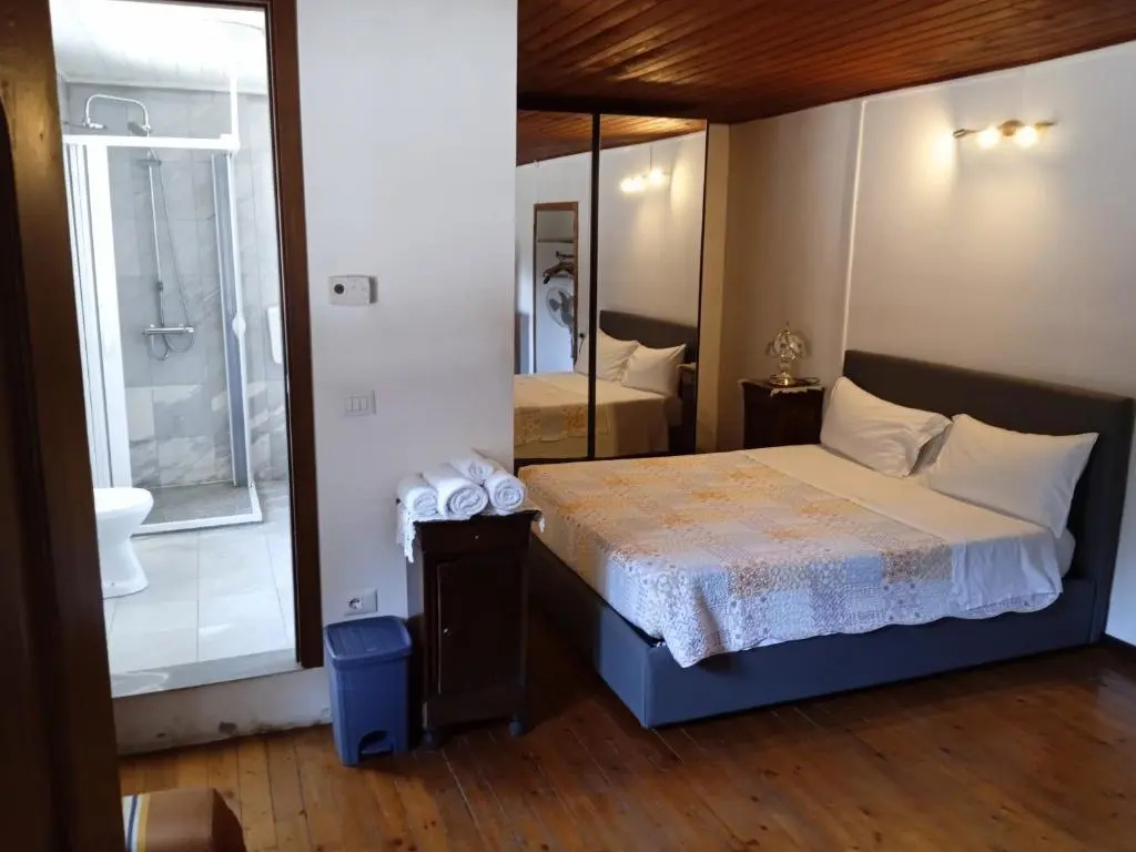 Standard Double room (full double bed)