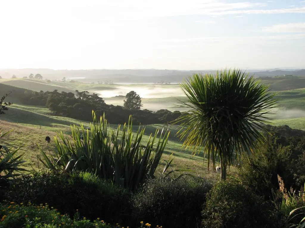 Matakohe Bed and Breakfast Petite Provence