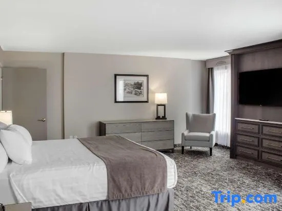 1 Bedroom Double Suite with street view full double bed