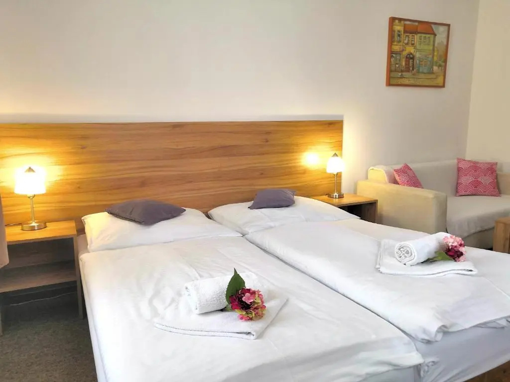 Economy Double room (twin beds)