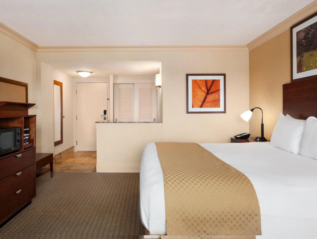 DoubleTree by Hilton Hotel Dallas – Love Field - Chambres