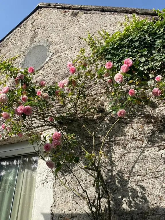 Les Bocages, Gites de Charme En Val de Loire, Piscine Chauffee