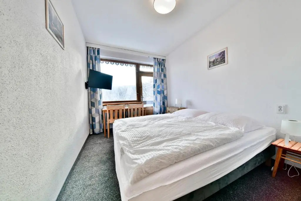 Standard Double room with mountain view (full double bed)