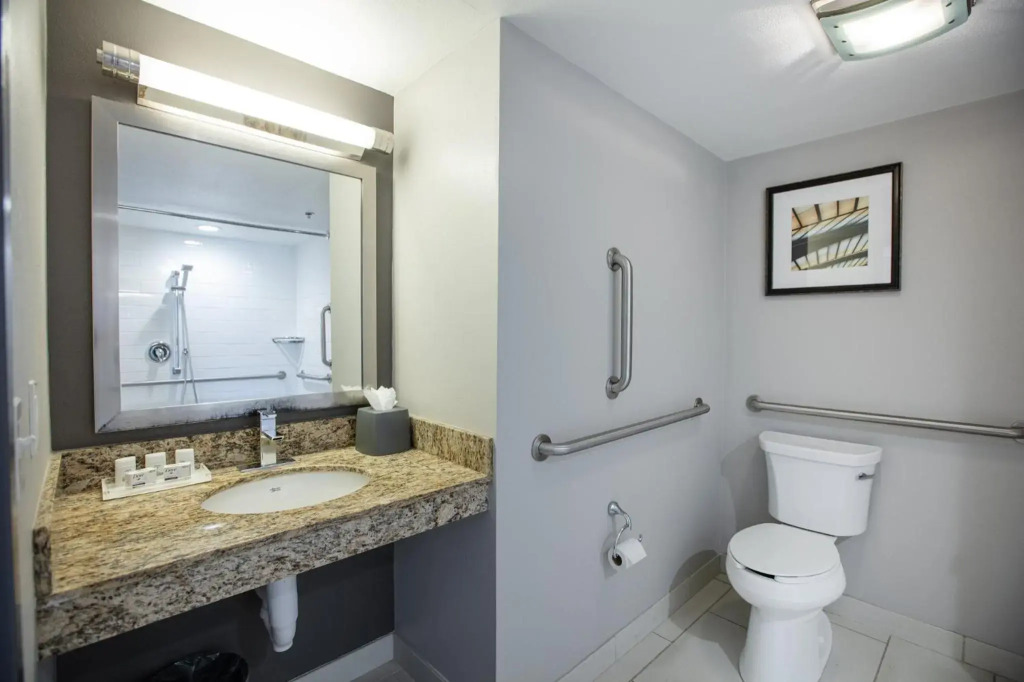 Holiday Inn St Louis SW - Route 66 by IHG - фото 10