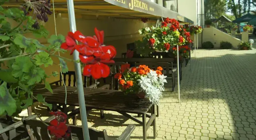 Jedlina Hotel - Général