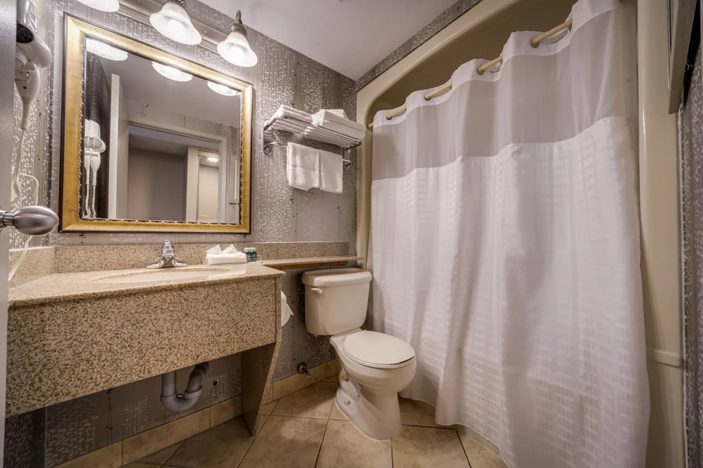 Monte Carlo Inn Vaughan Suites - Général