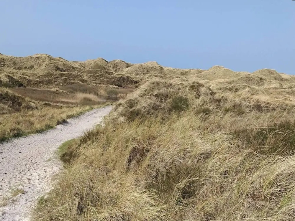 8 Person Holiday Home in Blavand