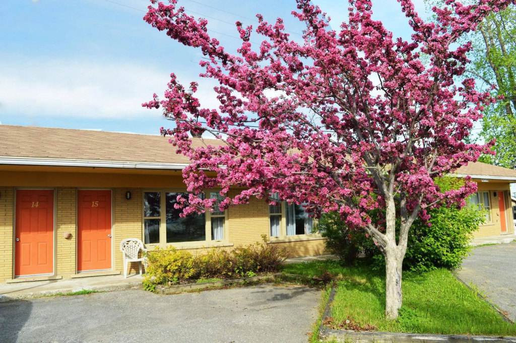 Condo & Motel Des Berges