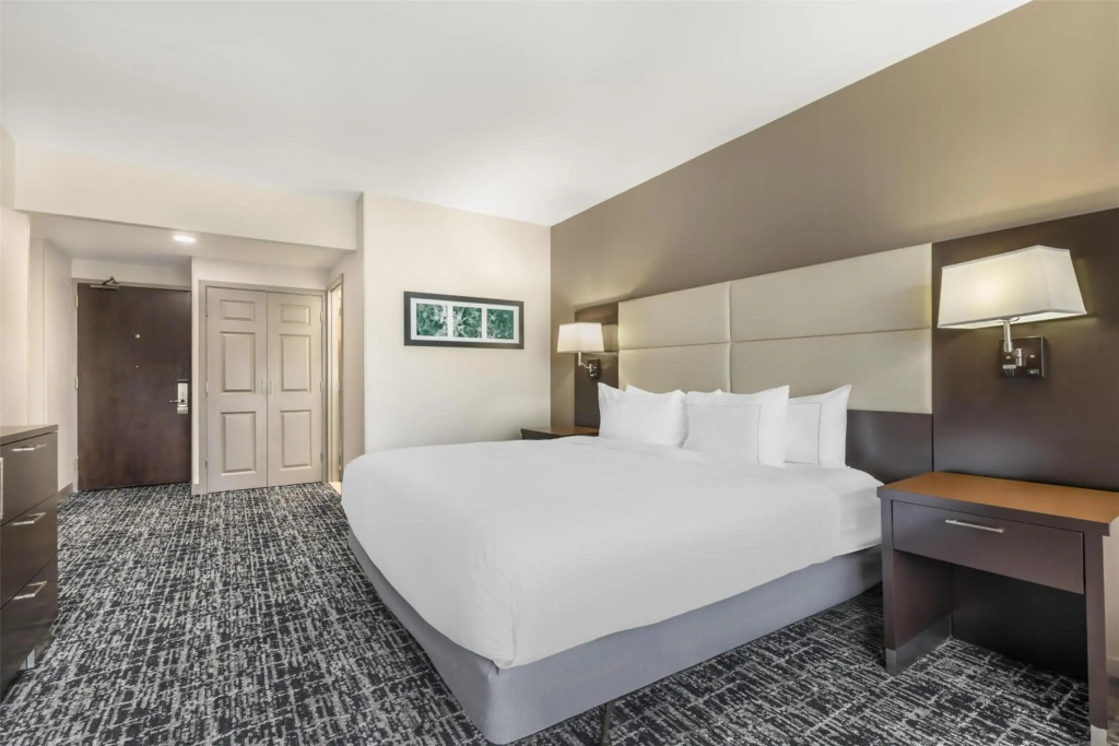 DoubleTree by Hilton Williamsburg - фото 6