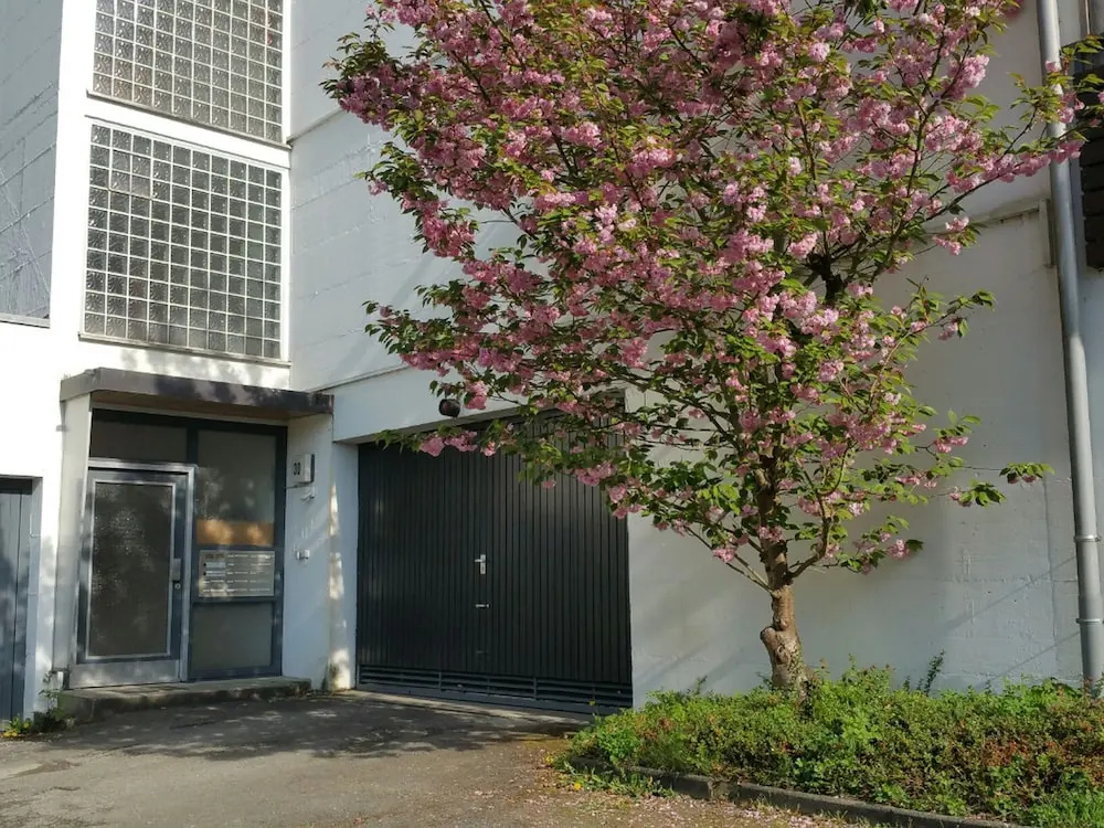 criston apartments - central living P