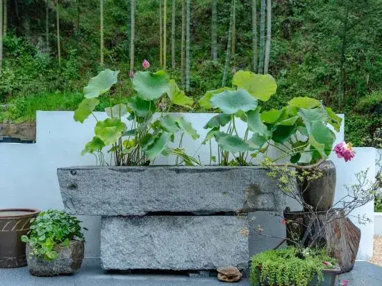 Summer Falls Homestay in Xiazhuang