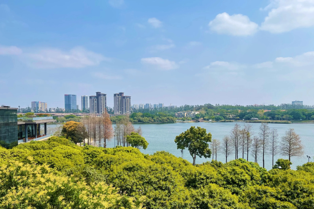 Citadines Songshan Lake Dongguan - Général
