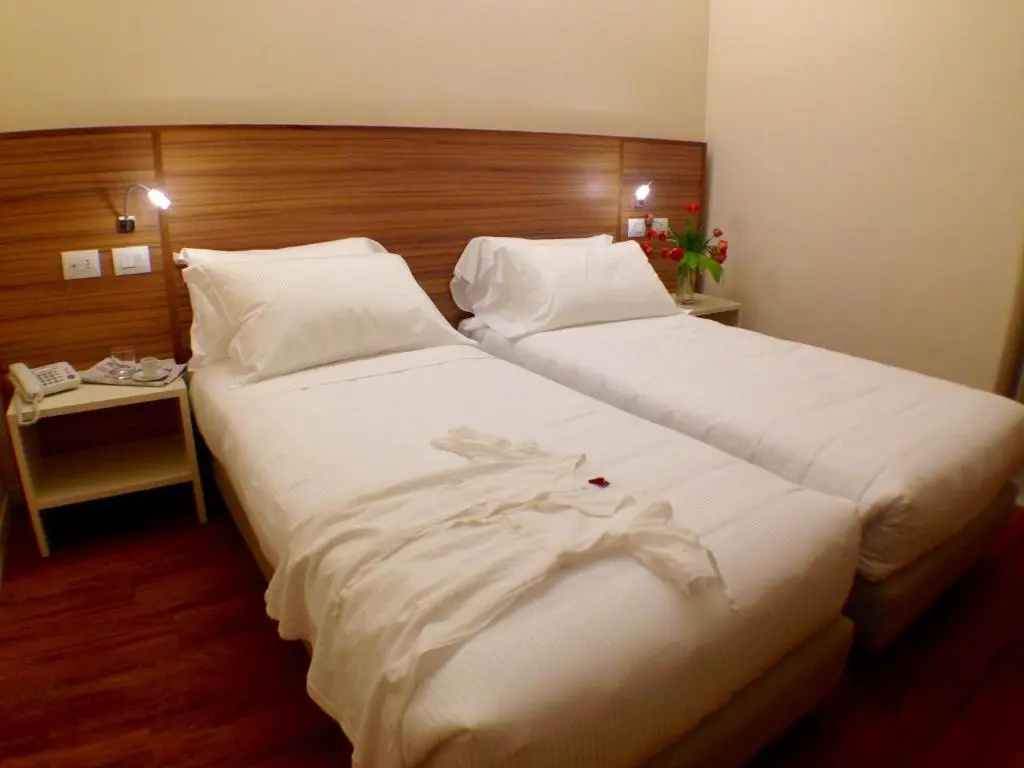 Standard Double room (twin beds)